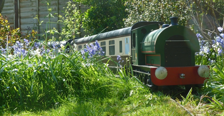 BR saddle tank and  GWR train on Bluebell curve